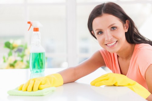 Mattress cleaning in Plumstead professional service with deep hygiene focus