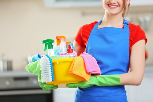 Carpet care for busy homes and businesses in Plumstead