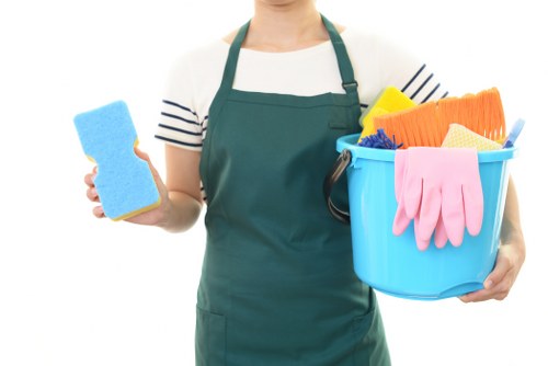 Carpet cleaning team preparing a local home in Plumstead