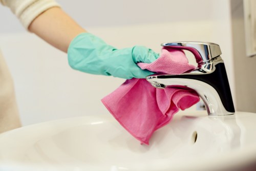 Accessibility-focused Plumstead Carpet Cleaners webpage illustration