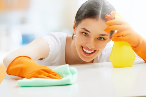 Carpet cleaner treating a stained living room carpet in Plumstead