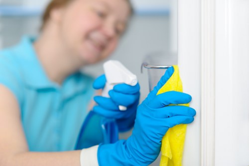 Deep cleaning of pet stains and odours in a Plumstead home