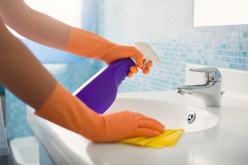 Professional carpet stain removal service in Plumstead