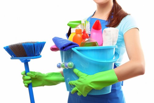 Example quote factors for carpet cleaning in a local flat