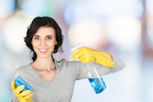 Professional Plumstead carpet cleaners assessing a living room carpet