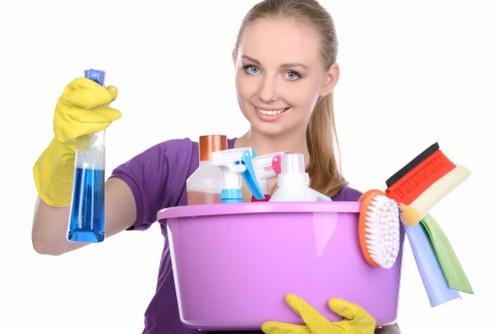 Deep cleaning process for upholstered furniture in Plumstead