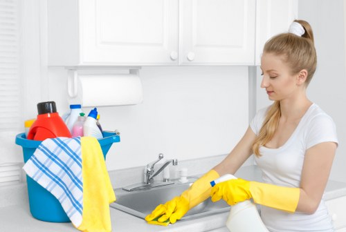 Deep carpet cleaning process in a Plumstead home