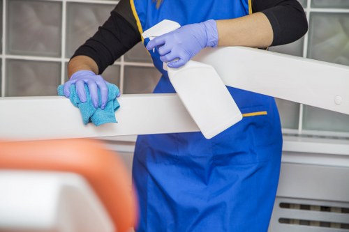 Professional carpet cleaners in Plumstead working with safety measures in place