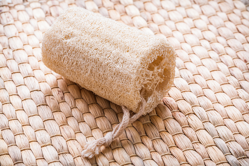 carpet cleaning oven cleaning